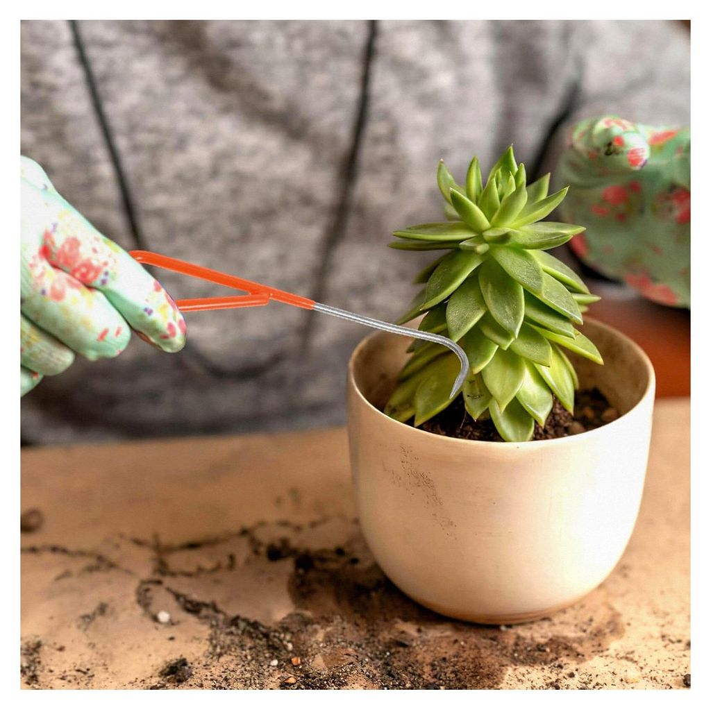 Robuster Handunkrautstecher aus Edelstahl mit ergonomischem Griff