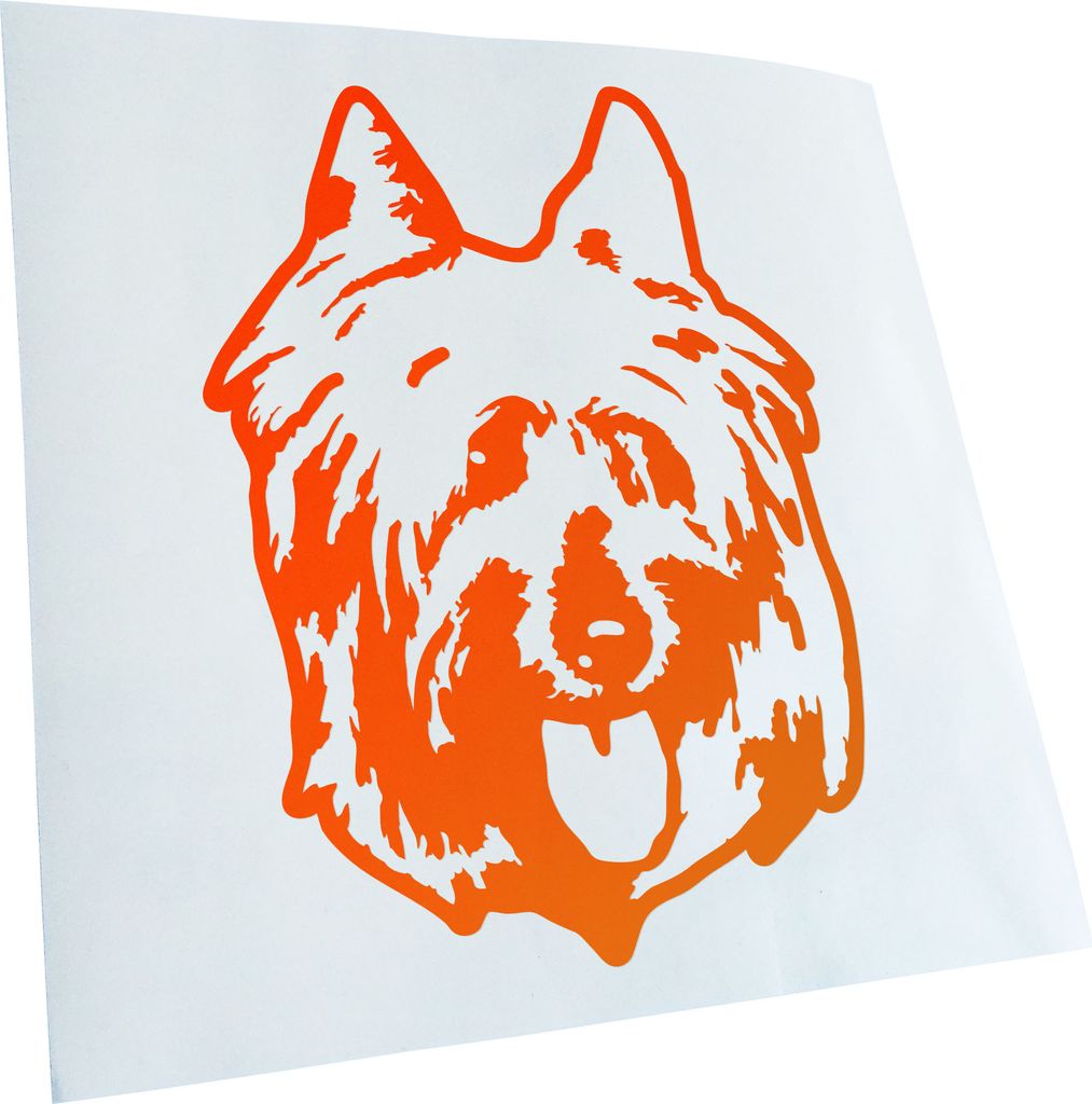 Kiwistar - Autoaufkleber - Silky Terrier Hund - Orange - 14x10cm - Aufkleber für Auto, Laptop, Fahrrad, LKW, Motorrad mehrfarbig JDM Decal Racing