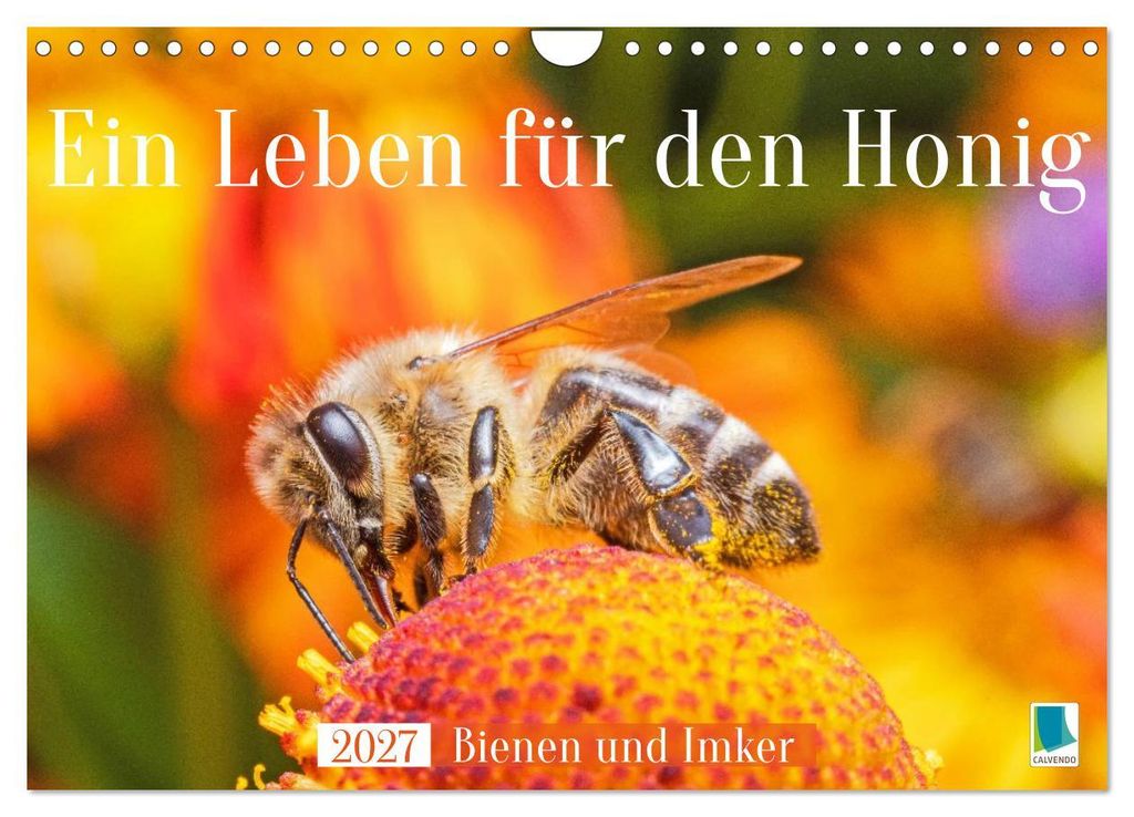 Ein Leben für den Honig: Bienen und Imker (Wandkalender Produktbild 