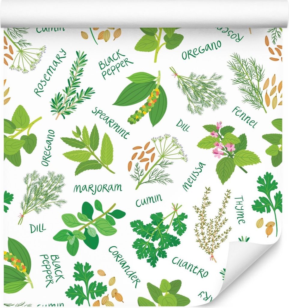 10m VLIES TAPETE Rolle Esszimmer Pflanzen Blätter Heilkräuter Natur XXL