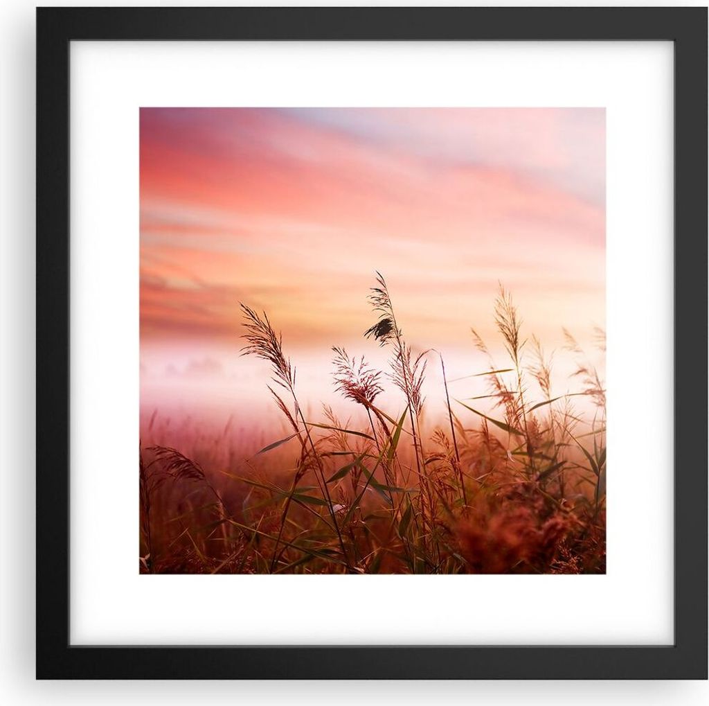 Gerahmtes Poster - Schwarzer Rahmen - Wiese Getreide Natur - 30x30 cm - Wand Bild - Wanddeko - Wandbilder - Kunstposter - Wandposter - Bilderrahmen...