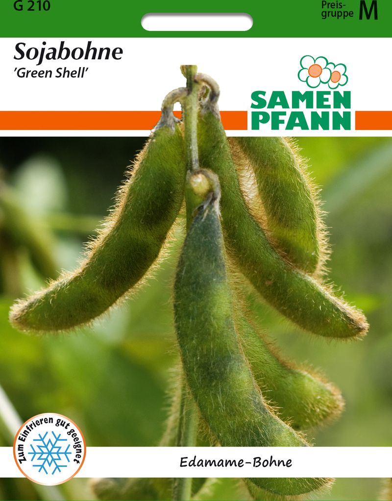 Sojabohne-Edamame Green Shell | Sojabohnensamen von Samen Pfann