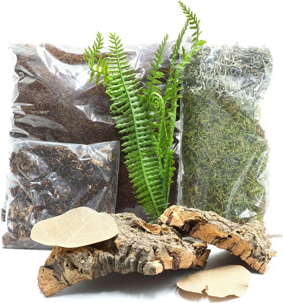 Kit Spider Maker L : Solution pour le Tissage Difficile des Grandes Araignées