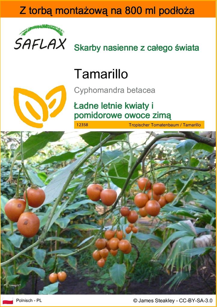 SAFLAX - Garden in the bag - Tamarillo - 50 Nasiona - Z Zdjęcie produktu 