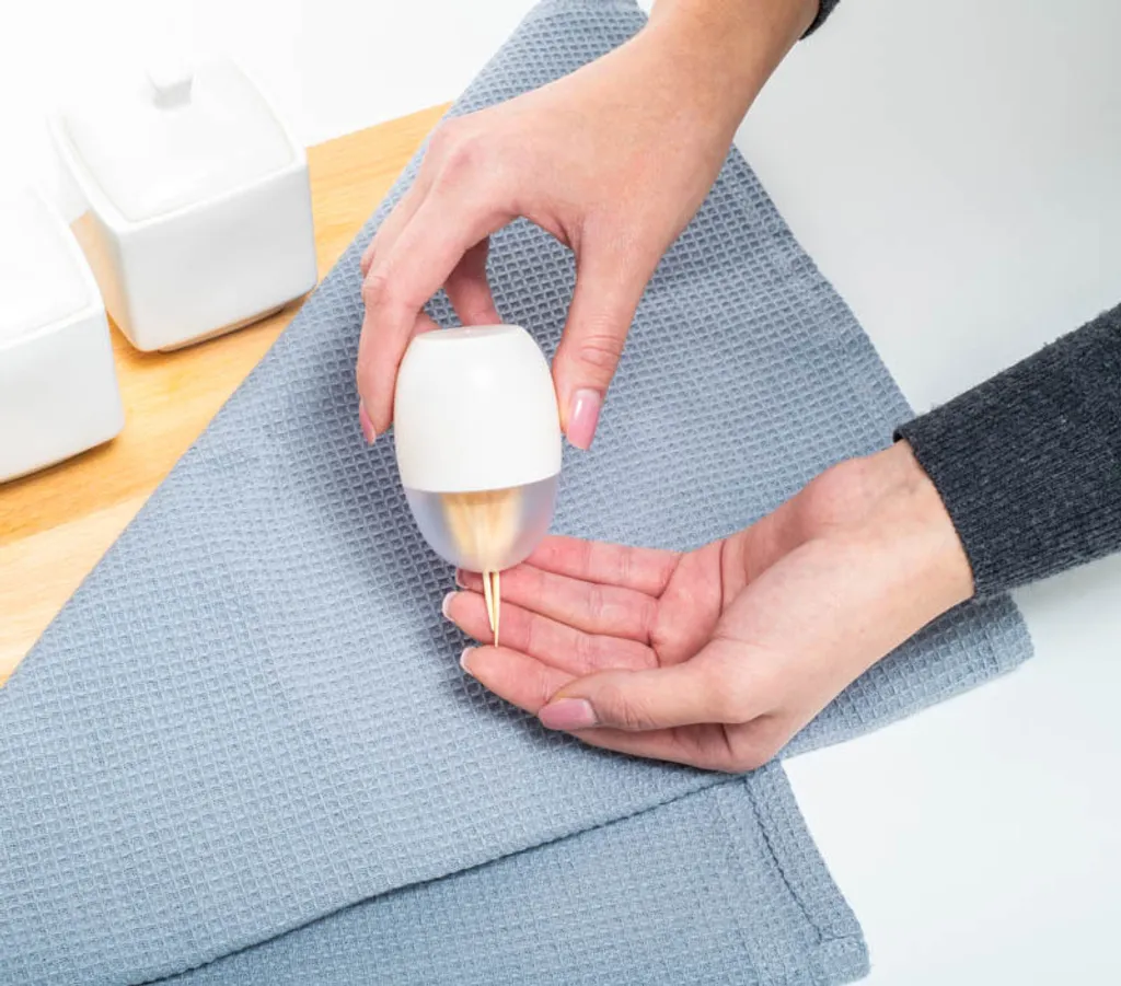 ALINCO Porta Stuzzicadenti Magnetico Professionale - Trasparente Premium - 3