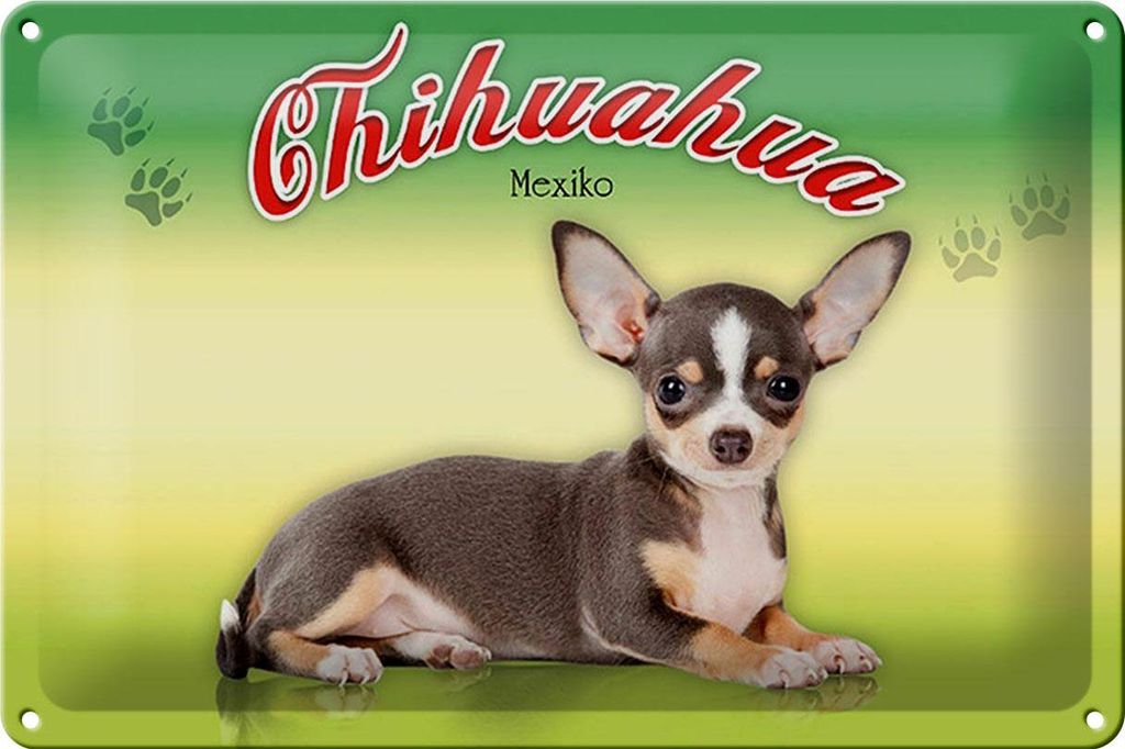 Blechschild Hund 30x20cm Chihuahua Mexiko Wanddeko Produktbild 