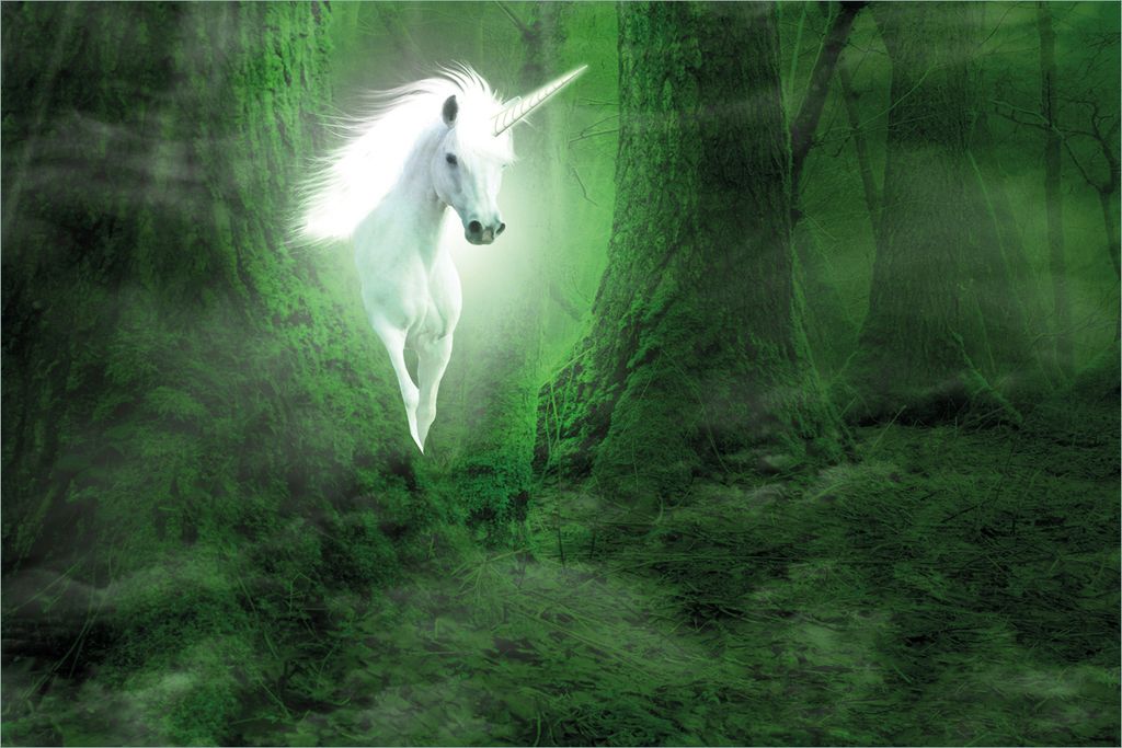 Wallario selbstklebendes Poster - Weißes Einhorn im grünen Wald, Größe: 61 x 91,50 cm