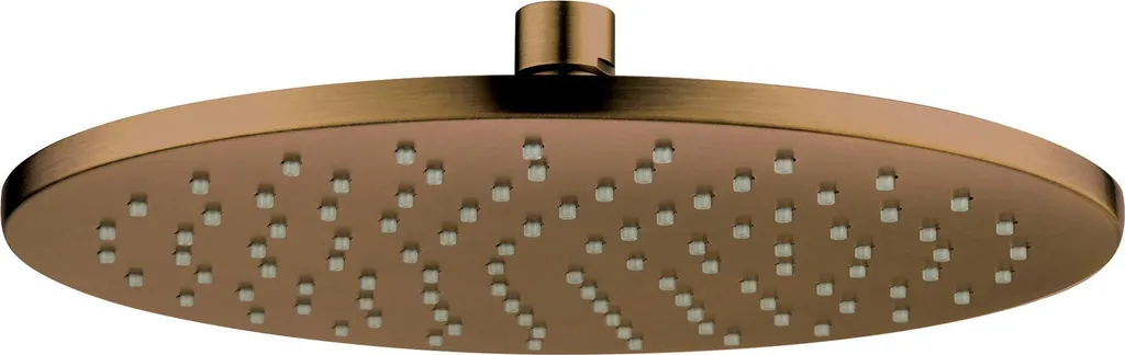 Pommeau de douche rond 250 mm en acier chromé haute qualité série RT25