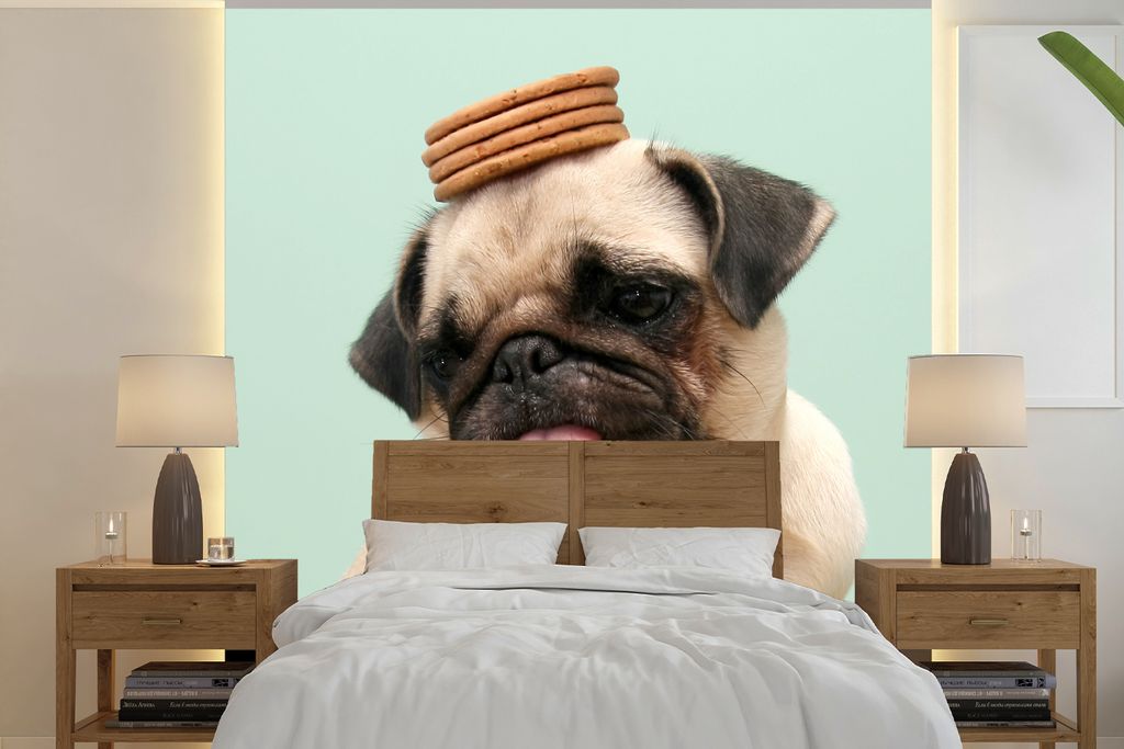 MuchoWow Fototapete für Wohnzimmer oder Schlafzimmer Wandtapete Vinyl Motivtapete Hund - Lustig - Kekse - Kinder - Jungen - Mädchen - Kinder - ...