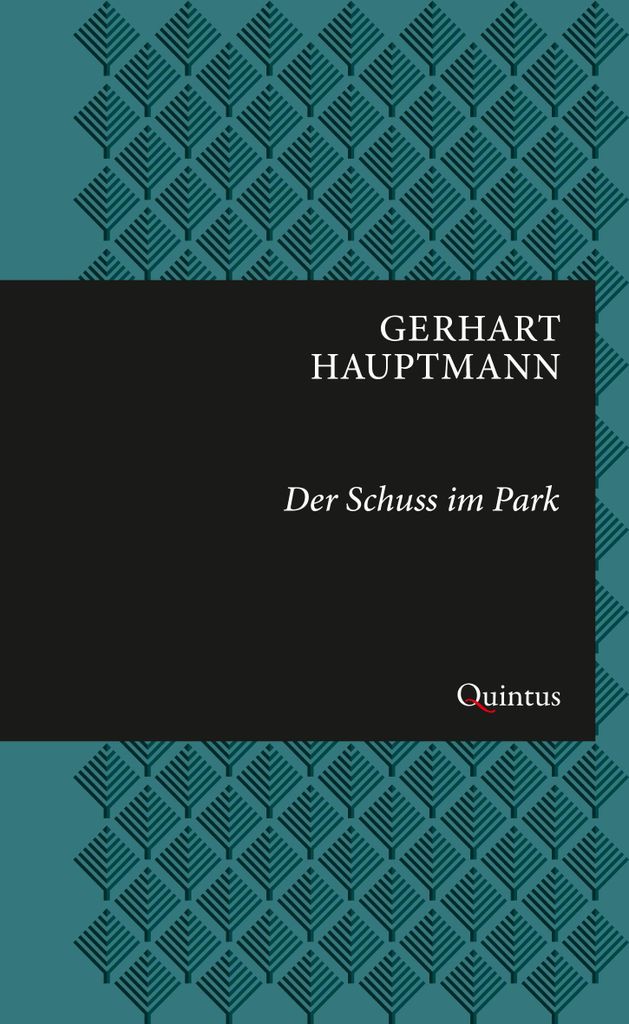 Der Schuss im Park