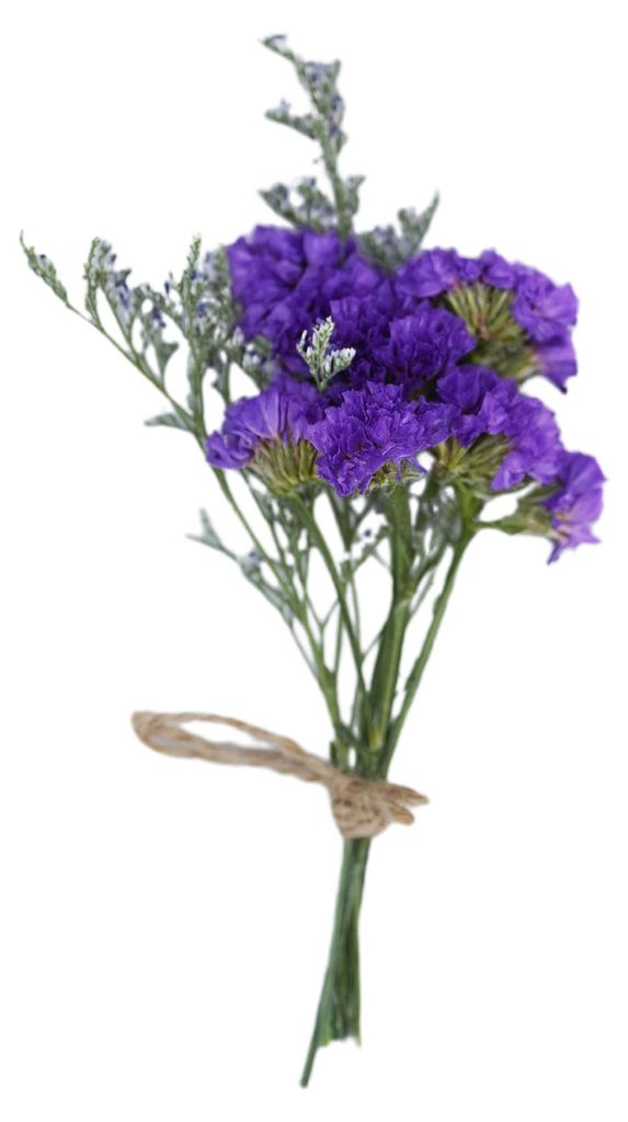 Langlebige, natürlich konservierte Trockenblumen, handgebundener kleiner Trockenblumenstrauß mit Hanfseil, DIY-Bastelideen, Foto-Requisiten