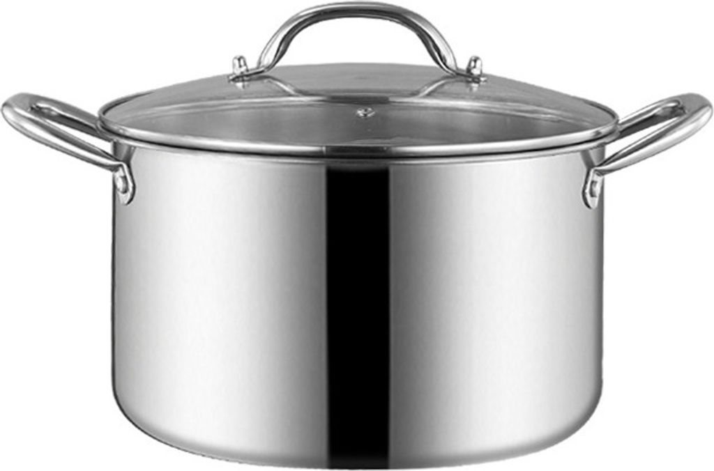 Kochtopf mit Glasdeckel – Spülmaschinengeeignet, Induktionsfest, Kleiner Edelstahl Topf 28x16x28 cm für Vielseitiges Kochen