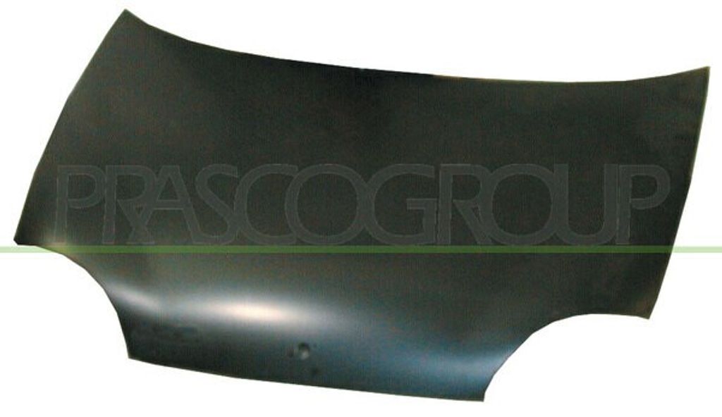 Prasco Motorhaube FT0193100