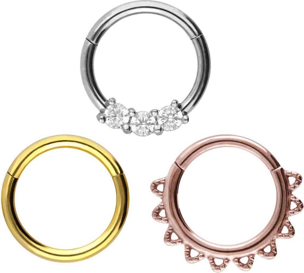 Ohrpiercing, Nasenpiercing, Septum Piercing SET Chirurgenstahl Segmentring Clicker MIX