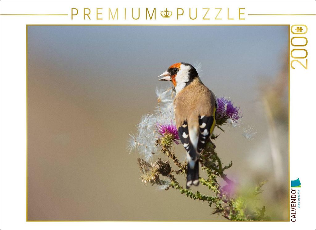 CALVENDO Puzzle Stiglitz 2000 Teile Puzzle quer | 2000 Teile Lege-Größe 90x67cm Foto-Puzzle für glückliche Stunden