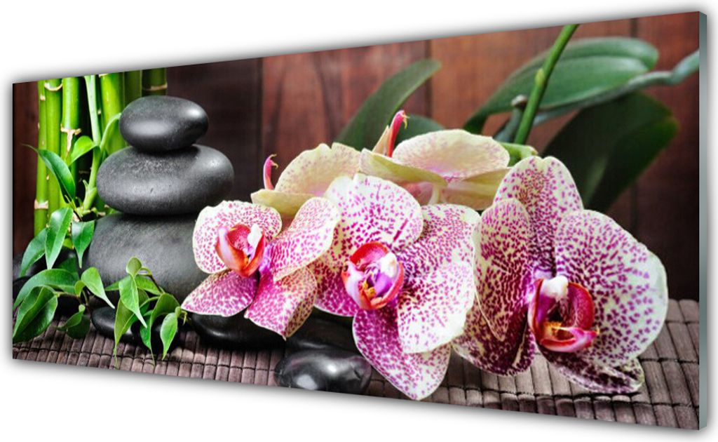 Küchenrückwand aus Glas 125x50cm Spritzschutz Bambusrohre Steine Blumen