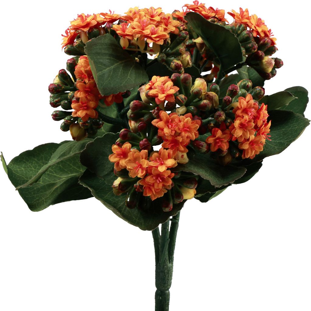 Flammendes Käthchen Kalanchoe künstlich Orange 24cm - Echt wirkende Deko-Blume