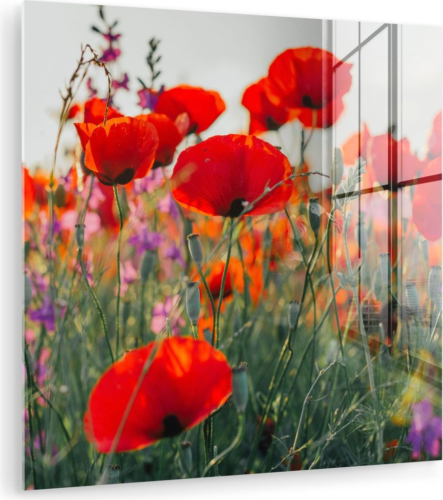 MuchoWow Glasbilder - Bilder auf Wandbild - Foto auf Glas Mohn - Blumen - Rot - Lila - Wiese 90x90 cm Wanddekoration aus Glas - Acrylglasbild - Acr...