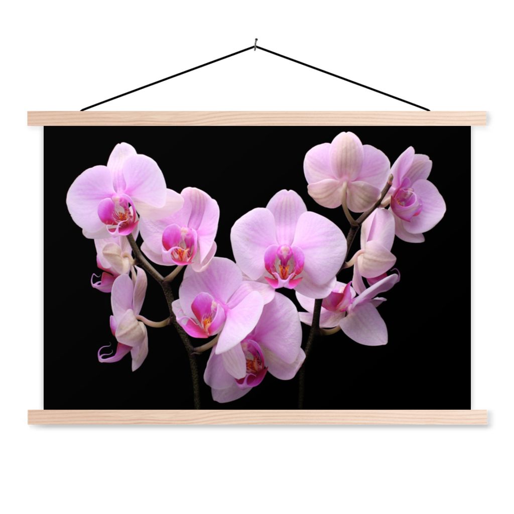 MuchoWow Textilposter Orchidee - Blumen - Rosa - Flora 120x80 cm mit holzfarbenen Rahmen - Aufhängeset