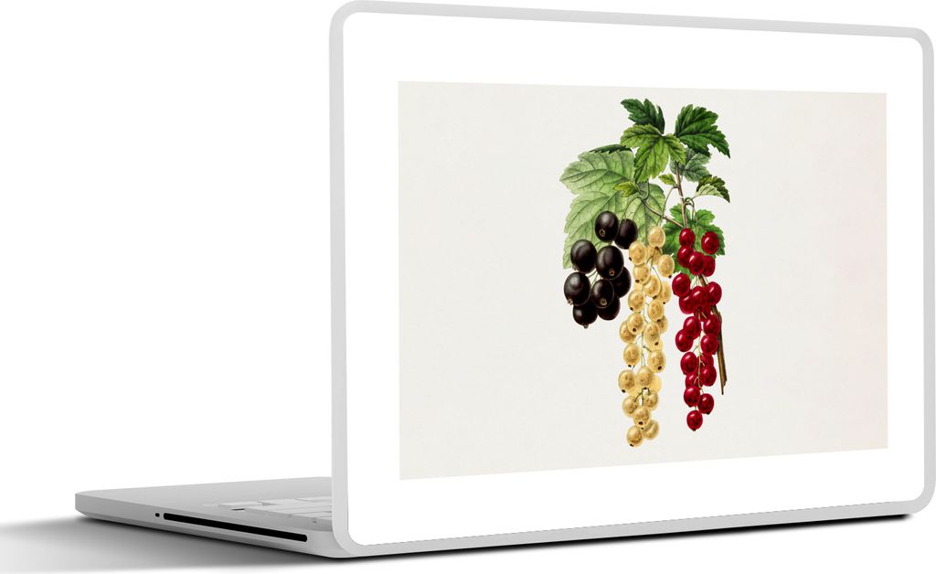 MuchoWow Laptop Aufkleber Sticker Cover Lebensmittel - Beeren - Obst 36.5x27.5 cm - Laptop-Sticker