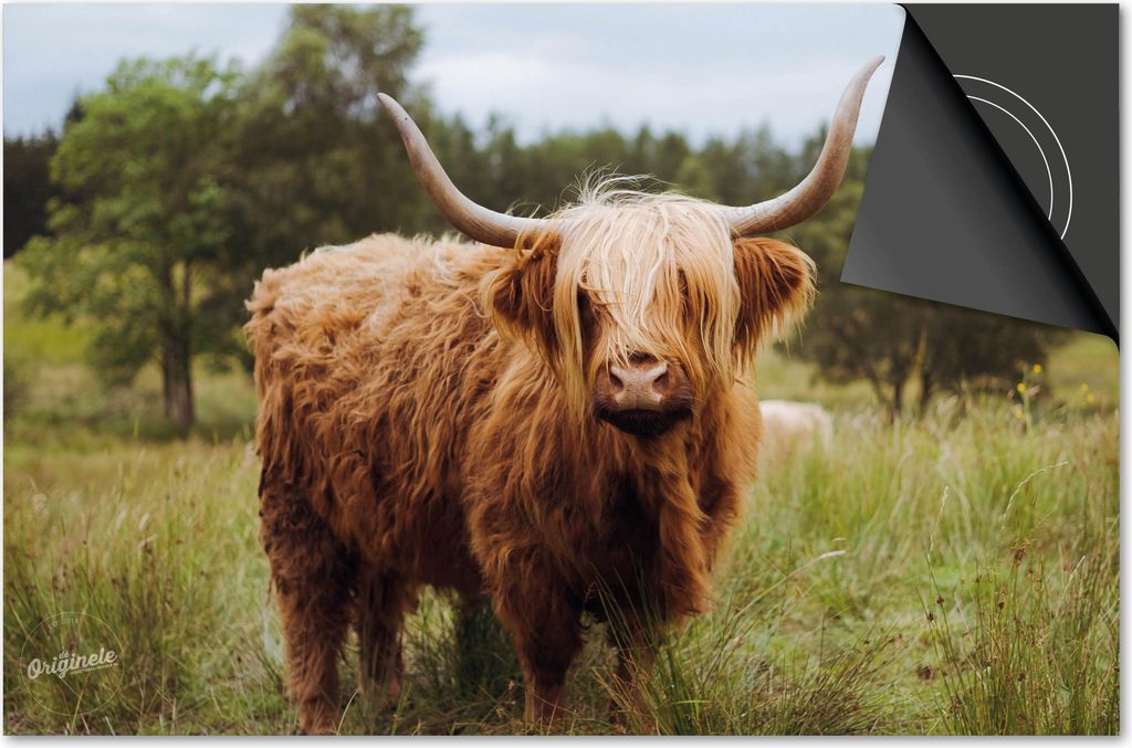 Induktionsschutz 71x52 - abdeckplatte Induktion matt- Dietrix Kochfeldschutz- Exklusive - Schottischer Highlander 1 - Im Grasland