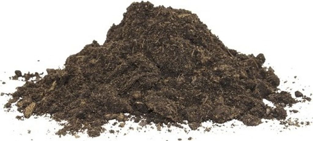 Floragard® Aktiv - Grünpflanzen- und Palmenerde 20 Liter Produktbild 3