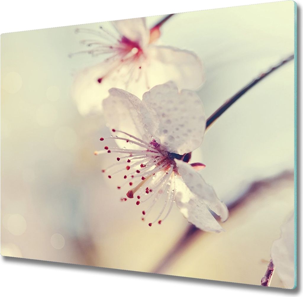 Glas Herdabdeckplatte 60x52 cm Spritzschutz Glasabdeckplatte Schneidebrett Kirschblüte