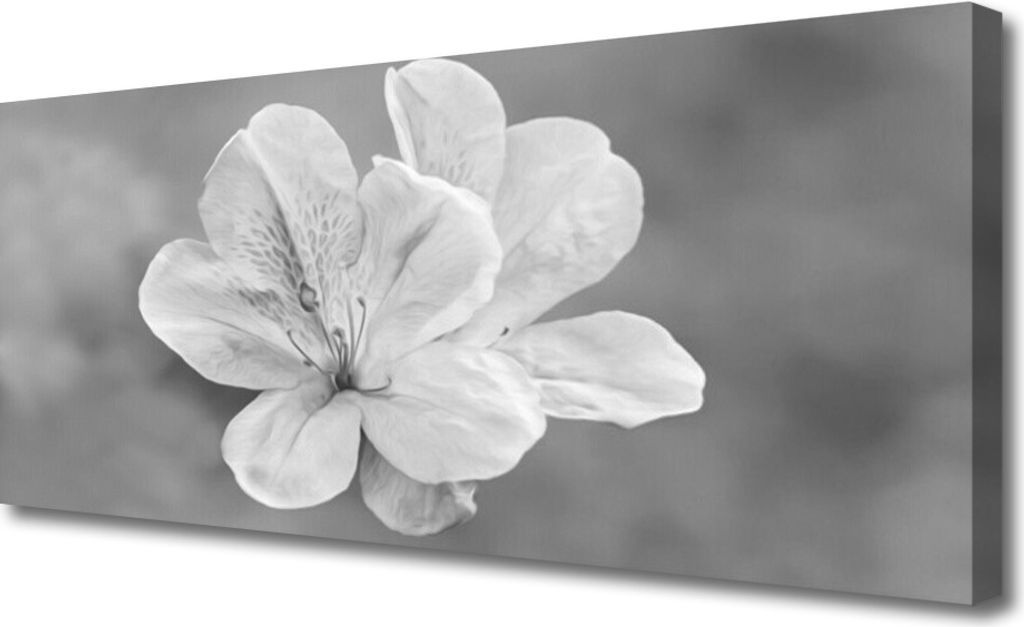 Tulup Leinwand-Bilder 125x50 Wandbild Canvas Kunstdruck Blumen Pflanzen