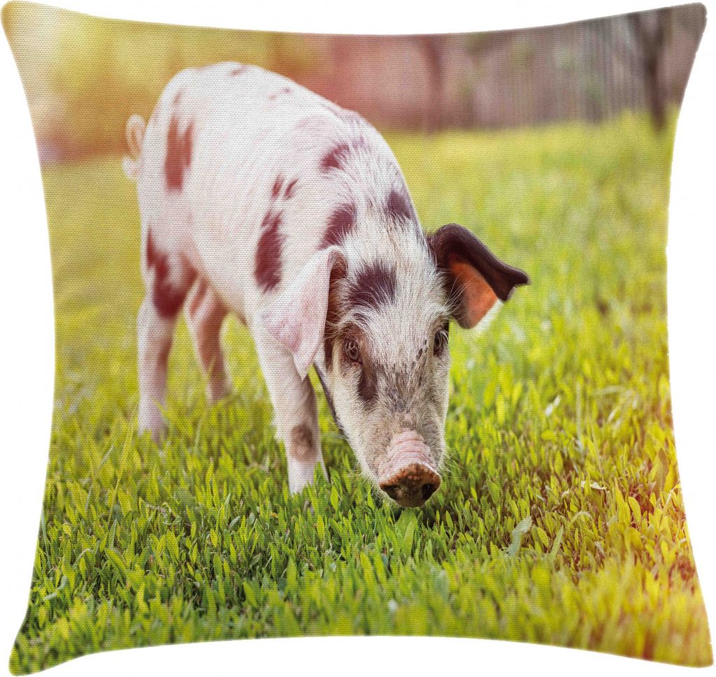 ABAKUHAUS Bauernhoftier Kissenbezug, Baby-Schwein mit Spots, Waschbar mit Reißverschluss Kissenhülle mit Farbfesten Klaren Farben Beidseitiger Dr...