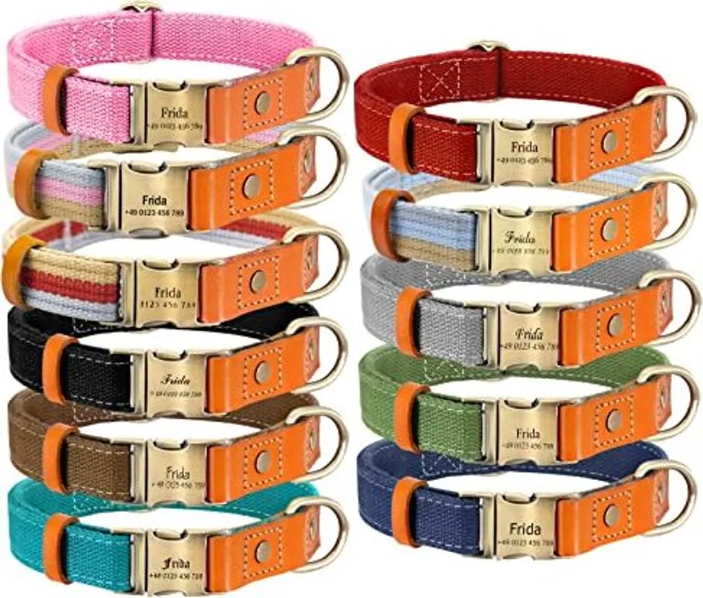 OFFERTA Collare Cane Personalizzato Nylon | Sicurezza Certificata