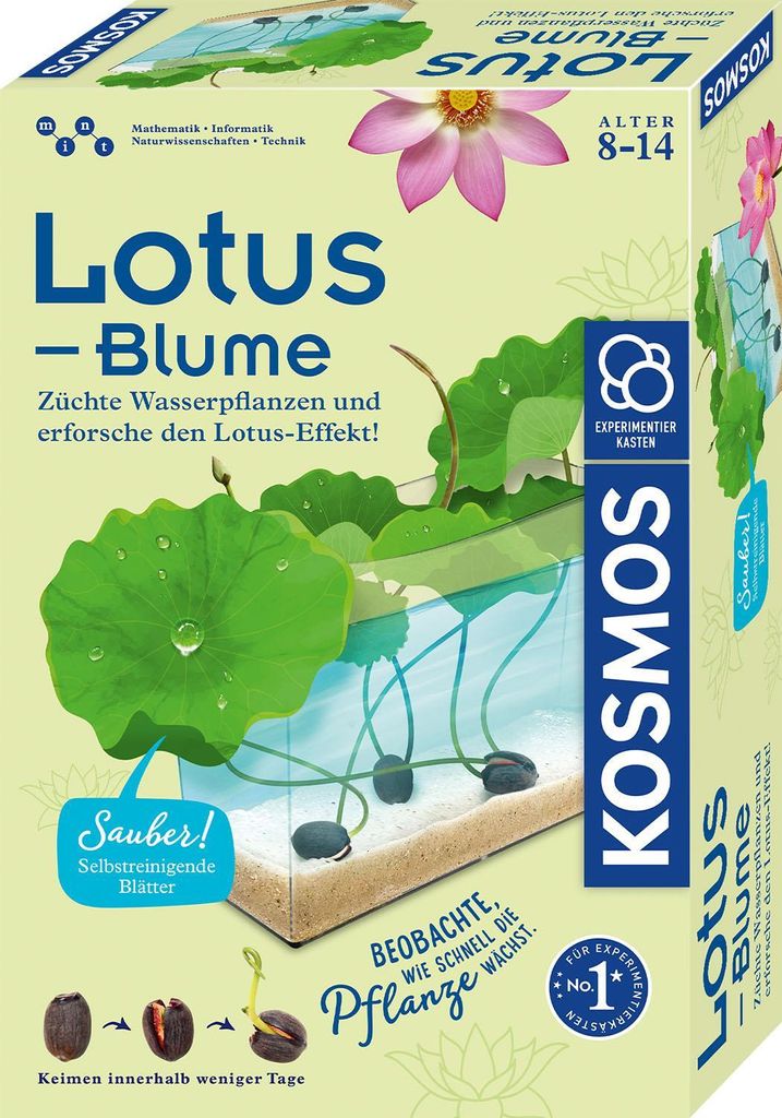 KOSMOS Experimentierkästen|KOSMOS Lotusblume