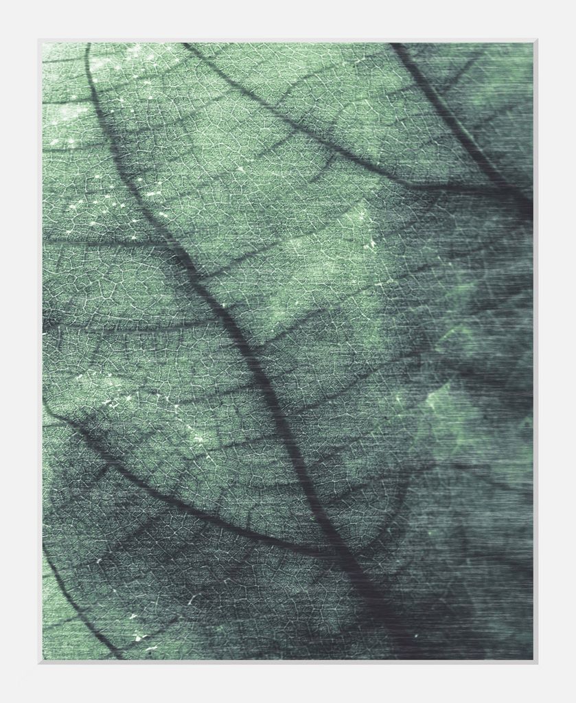 Gerahmter Digitaldruck 30x40cm Eukalyptus Pflanzen Plant Art | Wandbild | Design-Poster | Weißer Holzrahmen | Dekoration
