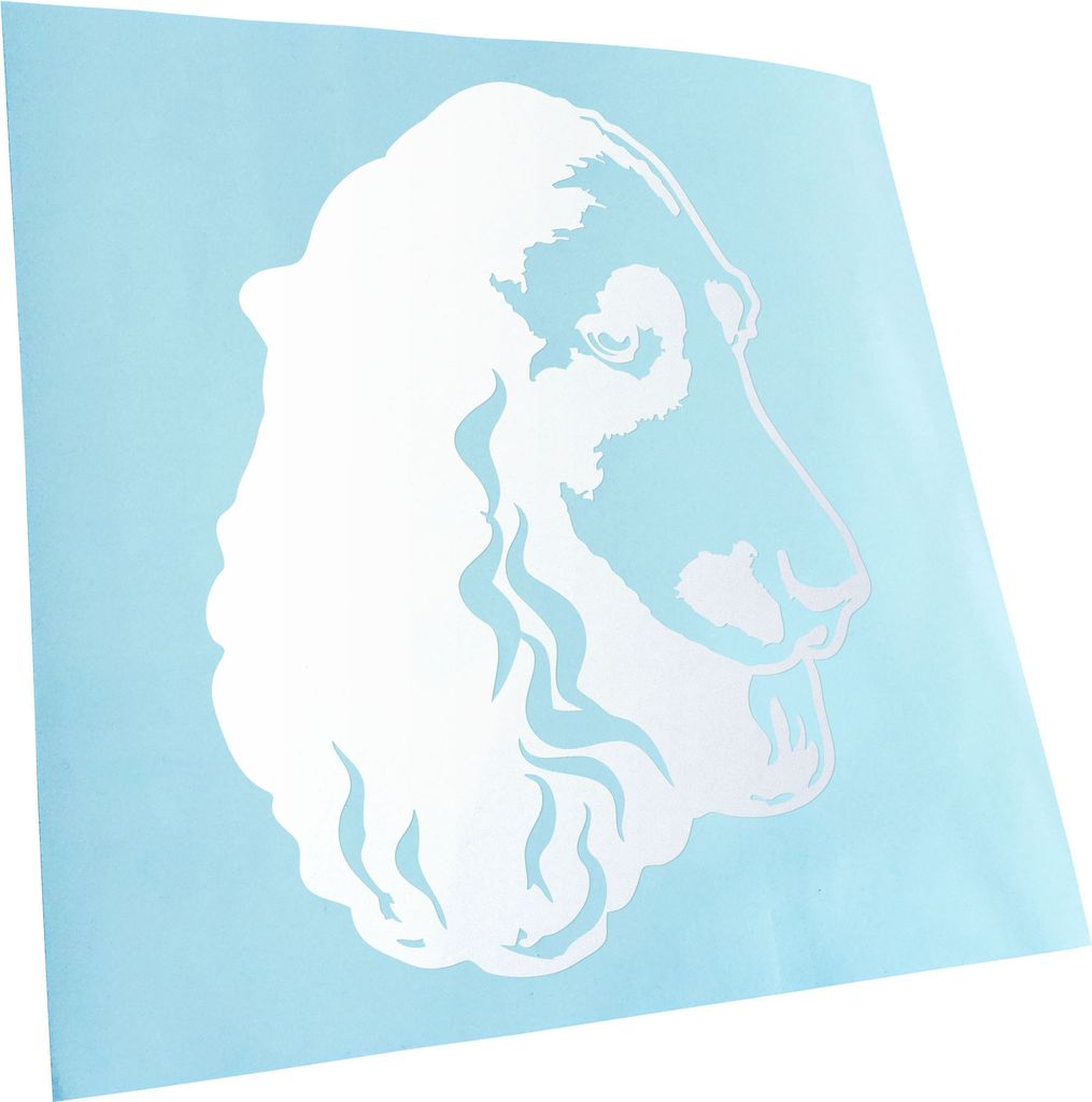 Kiwistar - Autoaufkleber - field spaniel Hund - Mattweiss - 60x46cm - Aufkleber für Auto, Laptop, Fahrrad, LKW, Motorrad mehrfarbig JDM Decal Racing