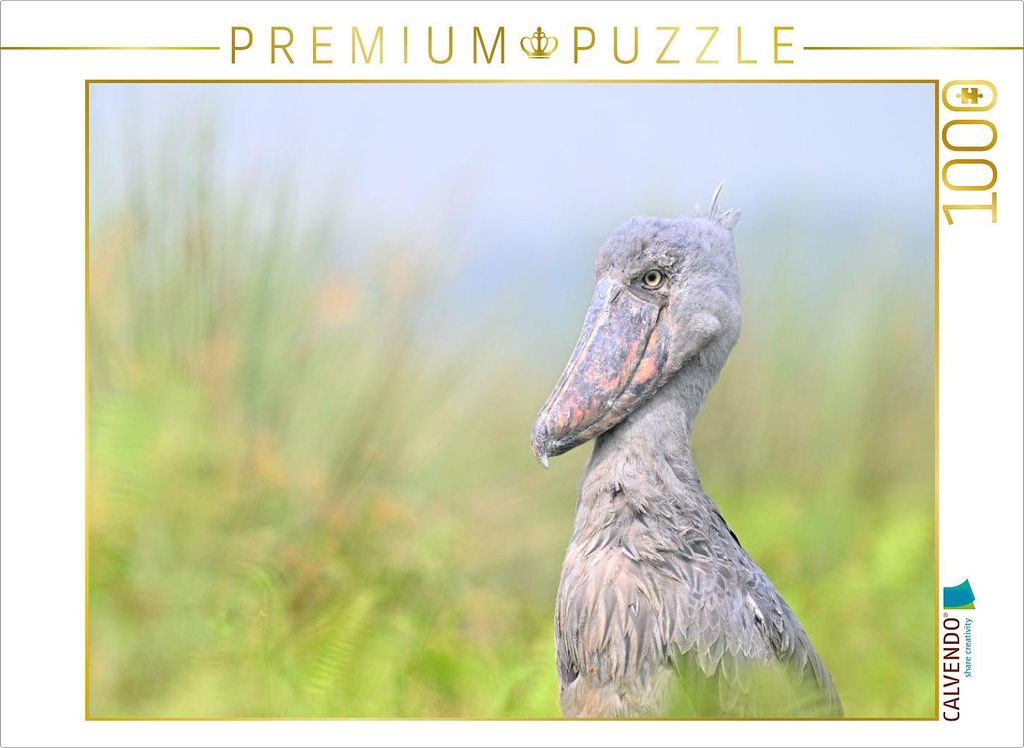 CALVENDO Puzzle Schuhschnabel im Lake Victoria | 1000 Teile Lege-Größe 64x48cm Foto-Puzzle für glückliche Stunden