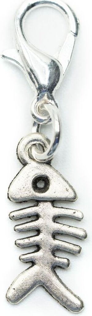 Fischgräte Charm Anhänger Bettelarmband Miniblings Fisch Skelett Gräte silber