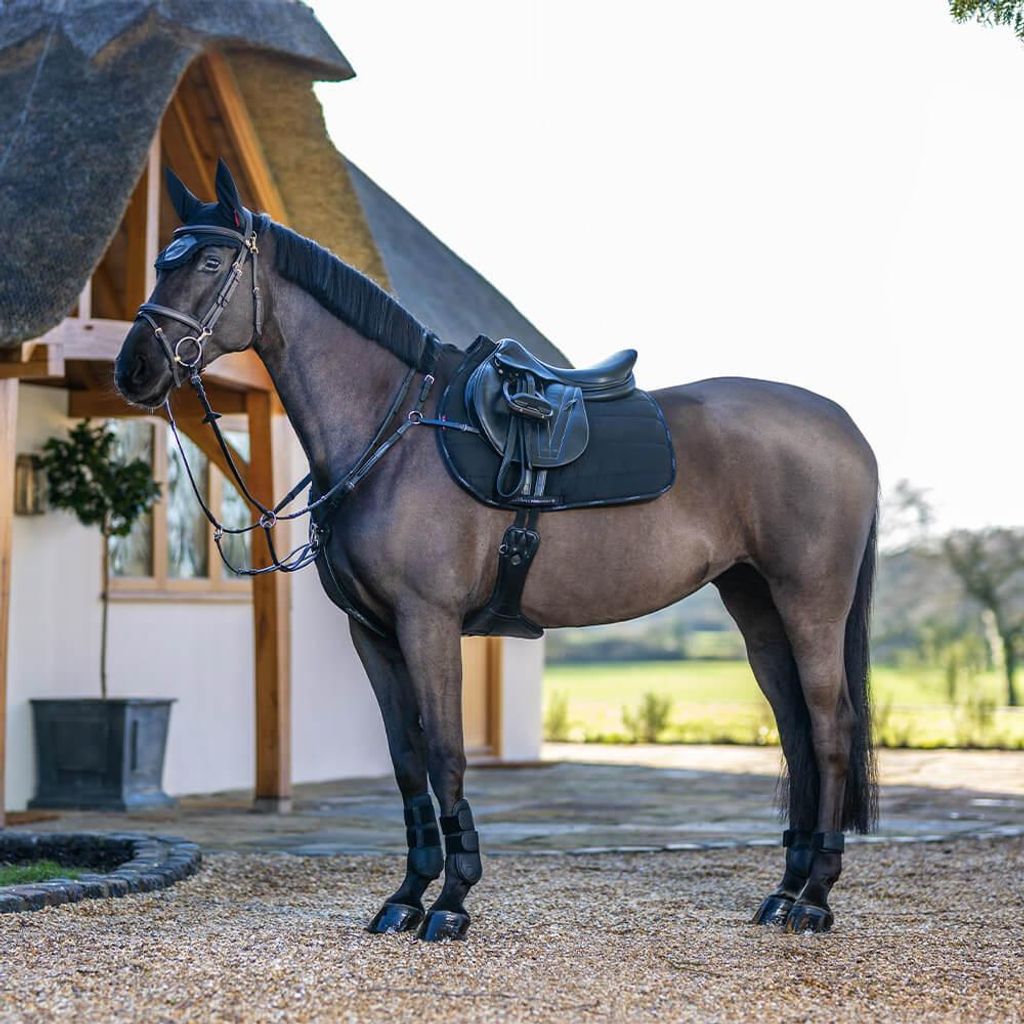 LeMieux VS Work Pad, Farbe:Black, Größe:L