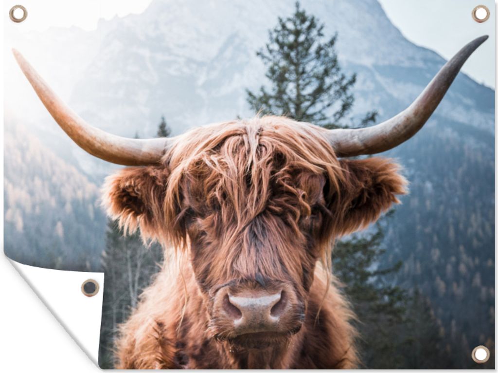 MuchoWow 80x60 cm Outdoor-Poster Gartendeko Sichtschutz Garten Poster für den Garten Schottischer Highlander - Kuh - Berg
