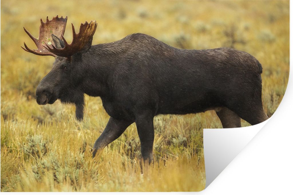 MuchoWow - Aufkleber