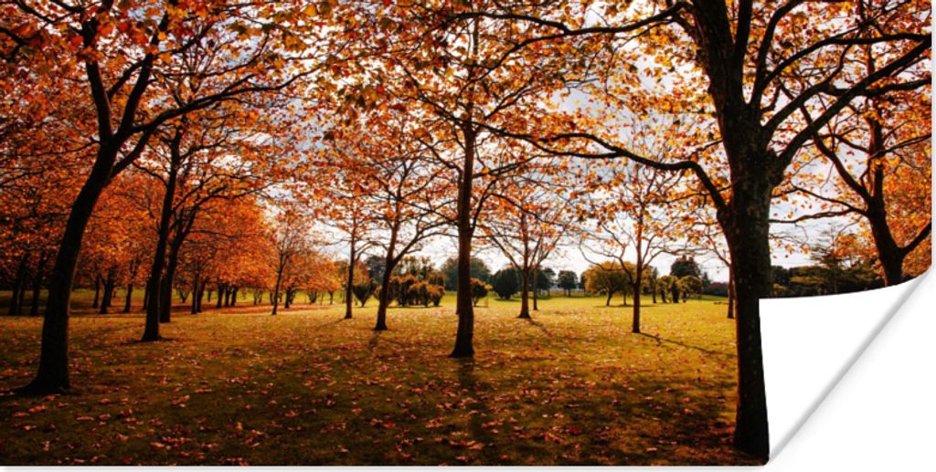 MuchoWow Poster Herbst - Herbstblätter - Natur 120x60 cm - Bild