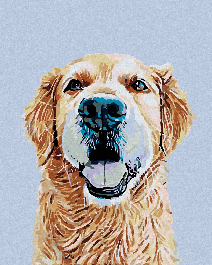 Zuty - Malen nach Zahlen - GOLDENER RETRIEVER, 40x50 cm, ohne Keilrahmen