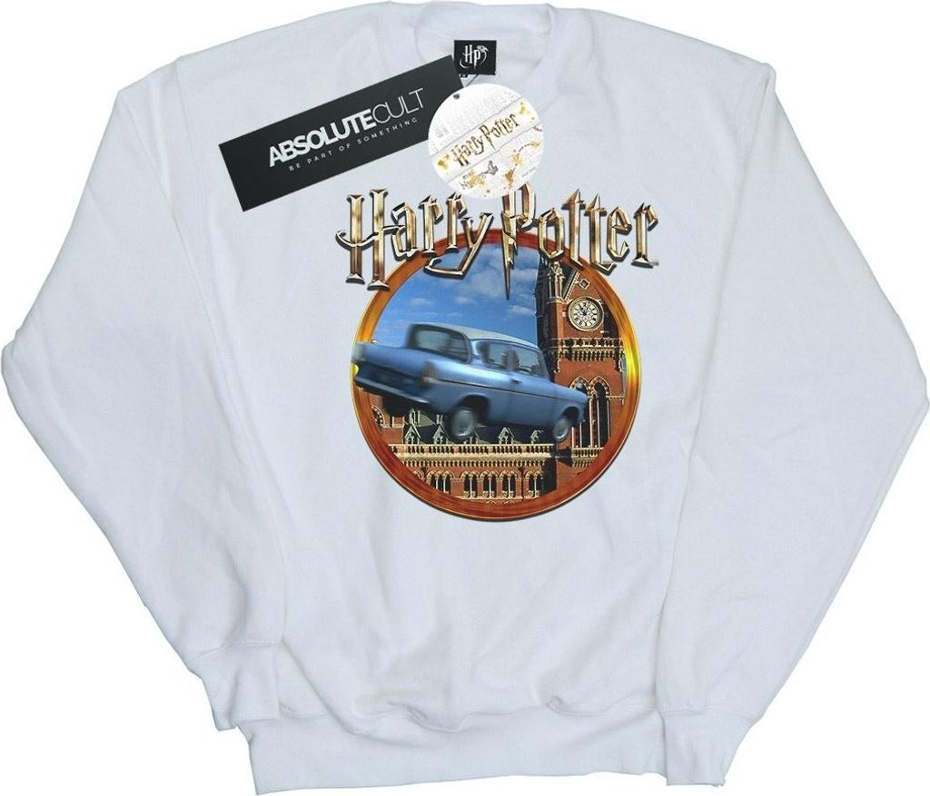 Harry Potter - Sweatshirt für Herren BI28265 (S) (Weiß)
