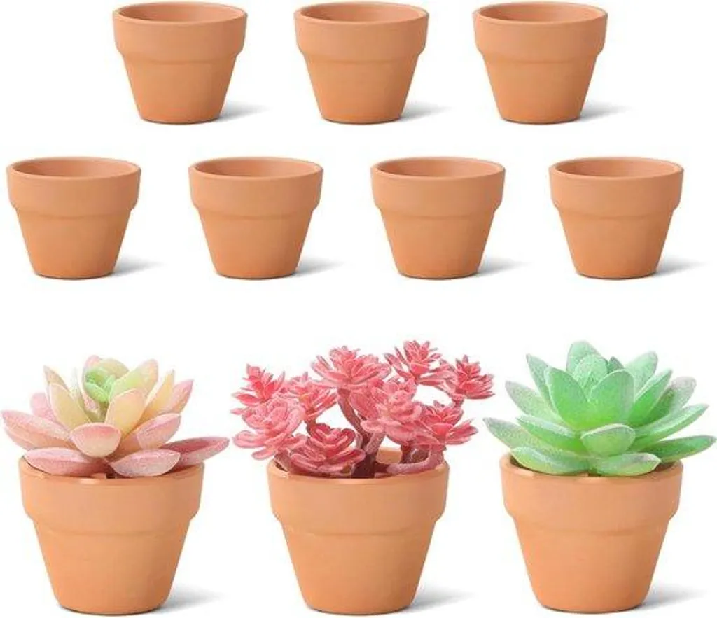 Lot de 10 petits pots en terre cuite 5cm pour plantes succulentes et cactus