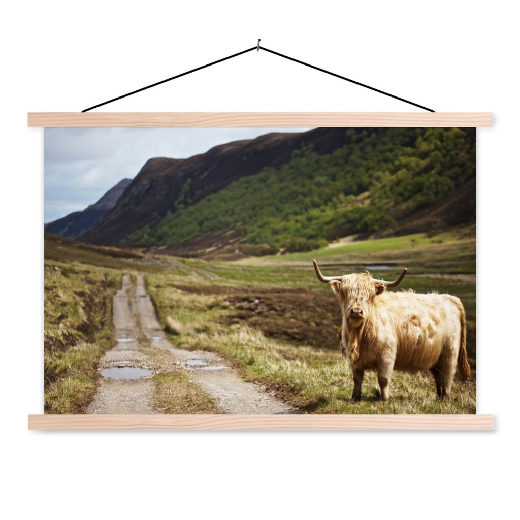 MuchoWow® Textilposter Schottische Highlander - Pfad - Wald Produktbild 