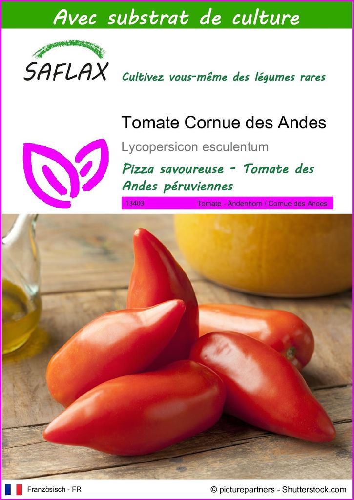 SAFLAX  - Tomate Cornue des Andes - 10 graines - Avec Image du produit 