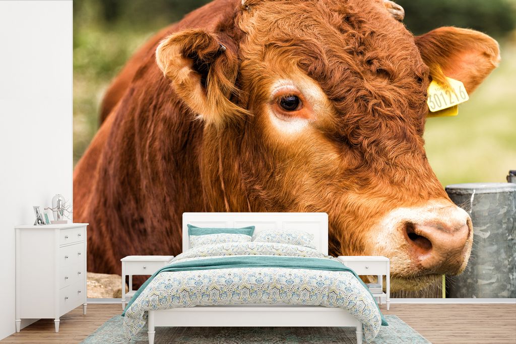 MuchoWow Fototapete für Wohnzimmer oder Schlafzimmer Wandtapete Vinyl Motivtapete Schottischer Highlander - Berg - Zaun - 360x240 cm - Vinyl-Tapete