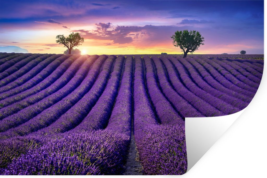 MuchoWow Wandtattoo Wandsticker Wandaufkleber Lavendel - Hügel - Sonnenuntergang - Bpmen - Lila 90x60 cm Selbstklebend und Repositionierbar - Au...