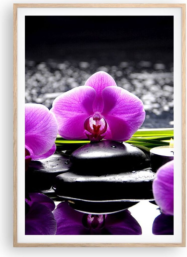 Gerahmtes Poster - Rahmen in heller Eiche - Orchidee Natur Wasser Blume - 70x100 cm - Wand Bild - Wanddeko - Wandbilder - Wandposter - Bilderrahmen...