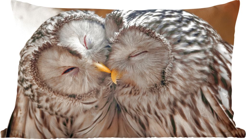 MuchoWow Zierkissen Sofakissen Wohnzimmer Dekokissen 50x30 cm Eulen - Vögel - Schnabel - Familie - Wohnzimmerdekoration - Polster mit Photo