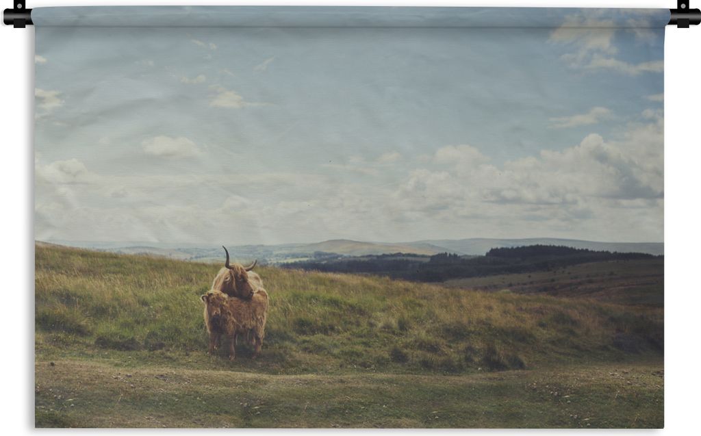 MuchoWow Wandteppich Wandbehang Schottische Highlander - Gras - Wolken - Tiere 120x80 cm Tapisserie Dekoration Wandtuch - Wanddekorationen - Wand...