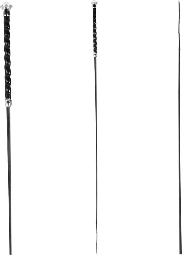 Recensione Dressage Whip Classic 130 cm | Perché è il mio Frustino Preferito